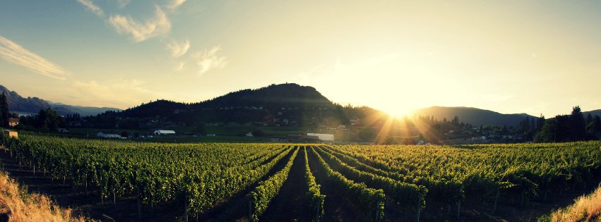 westside-wine-trail-west-kelowna-wineries-5